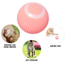Load image into Gallery viewer, Pet Purrpose™ - Cat Electric Ball
