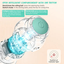 Load image into Gallery viewer, Pet Purrpose™ - Cat Electric Ball