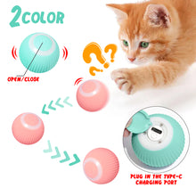 Load image into Gallery viewer, Pet Purrpose™ - Cat Electric Ball
